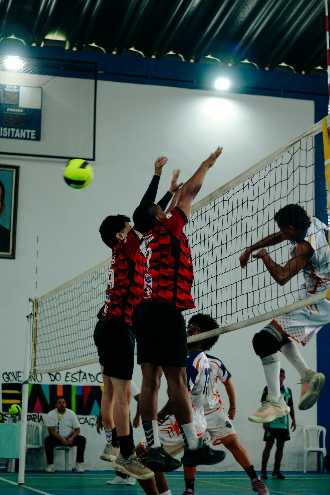 3ª Edição